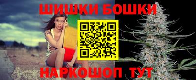 Альфа ПВП Обь