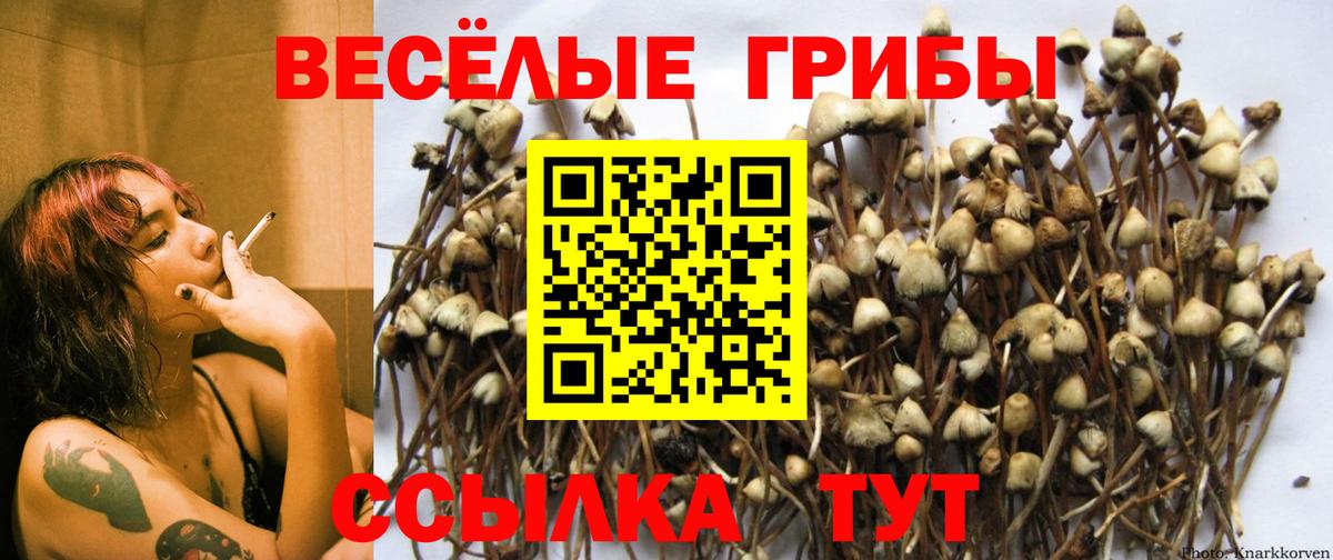 Псилоцибиновые грибы GOLDEN TEACHER Алапаевск